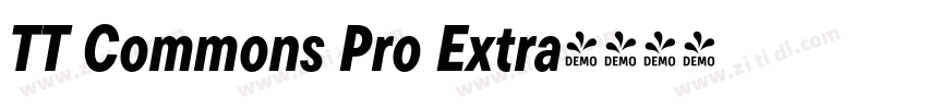 TT Commons Pro Extra字体转换